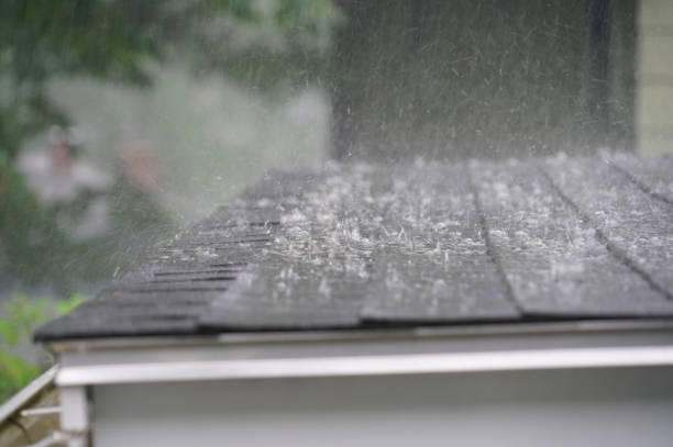Professional Roofing Service in Forest Heights, TX