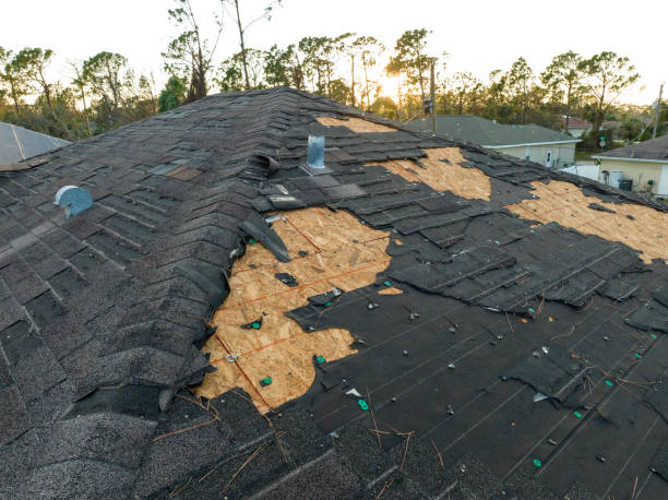 Best Flat Roofing  in Forest Heights, TX